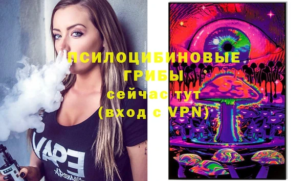 а пвп мука Бугульма