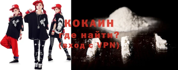 mdpv Бородино